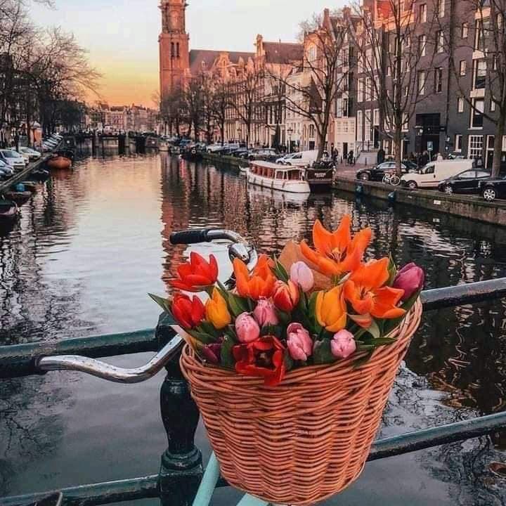 Best Family Activities in Amsterdam: From Canal Adventures to Indoor Escapes