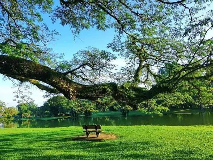 Taiping