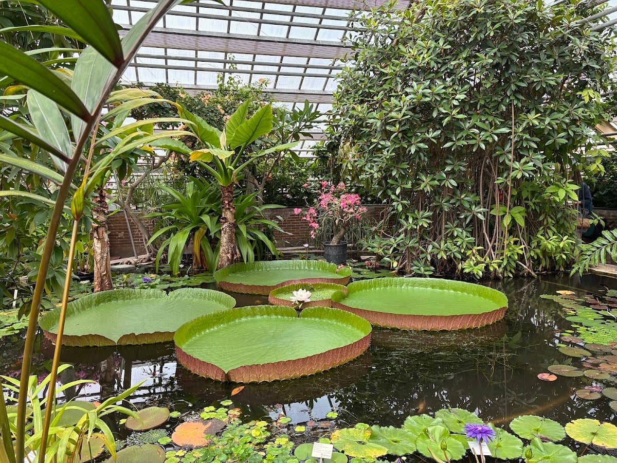 Hortus botanicus Leiden
