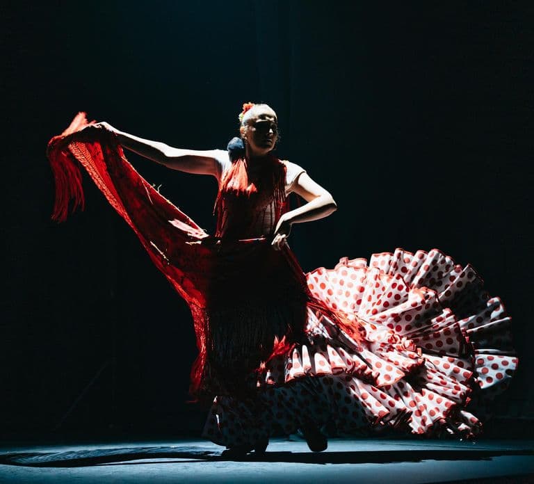 Seville: Live Flamenco Dancing Show Ticket at the Theater