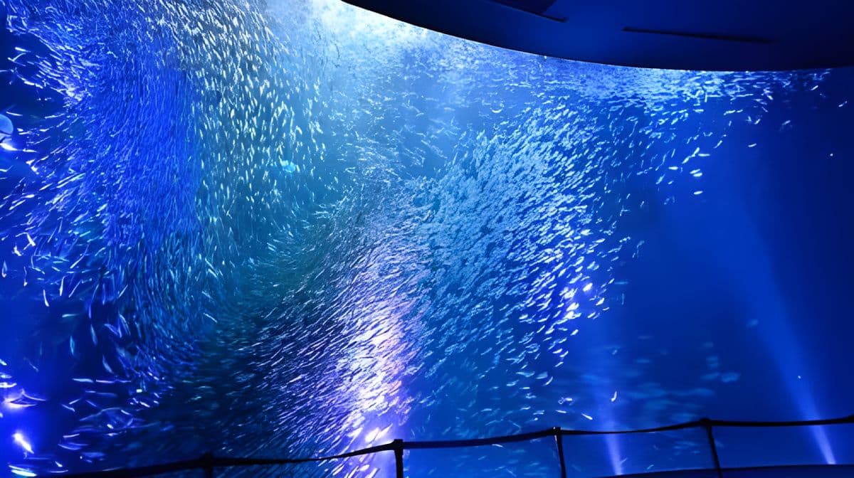 Port Of Nagoya Public Aquarium