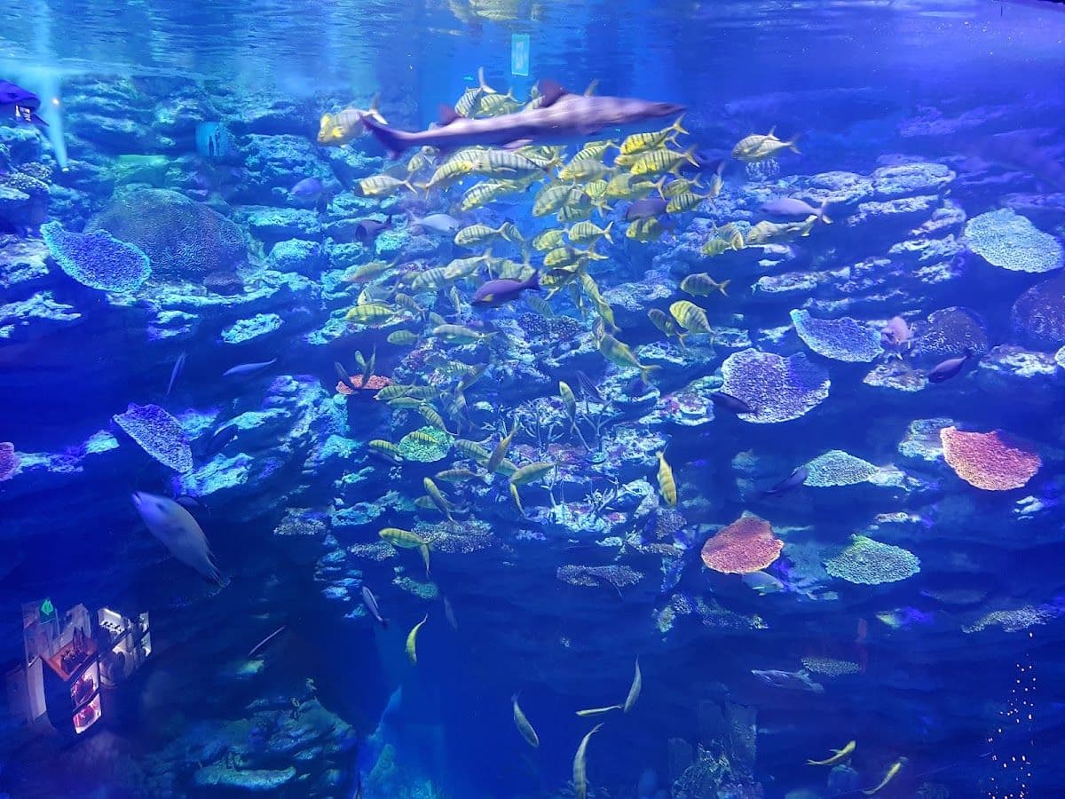 Sea Life Busan