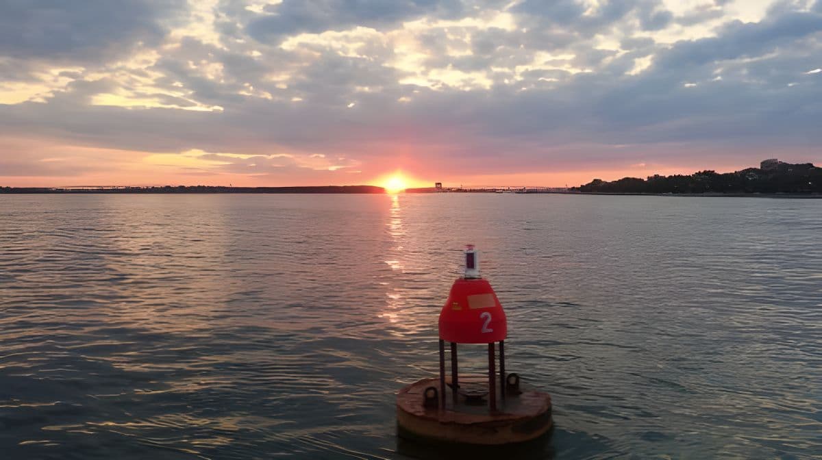 Charleston: Sunset Harbor Cruise Day Tours