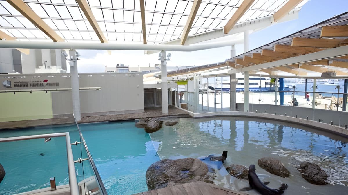 New England Aquarium
