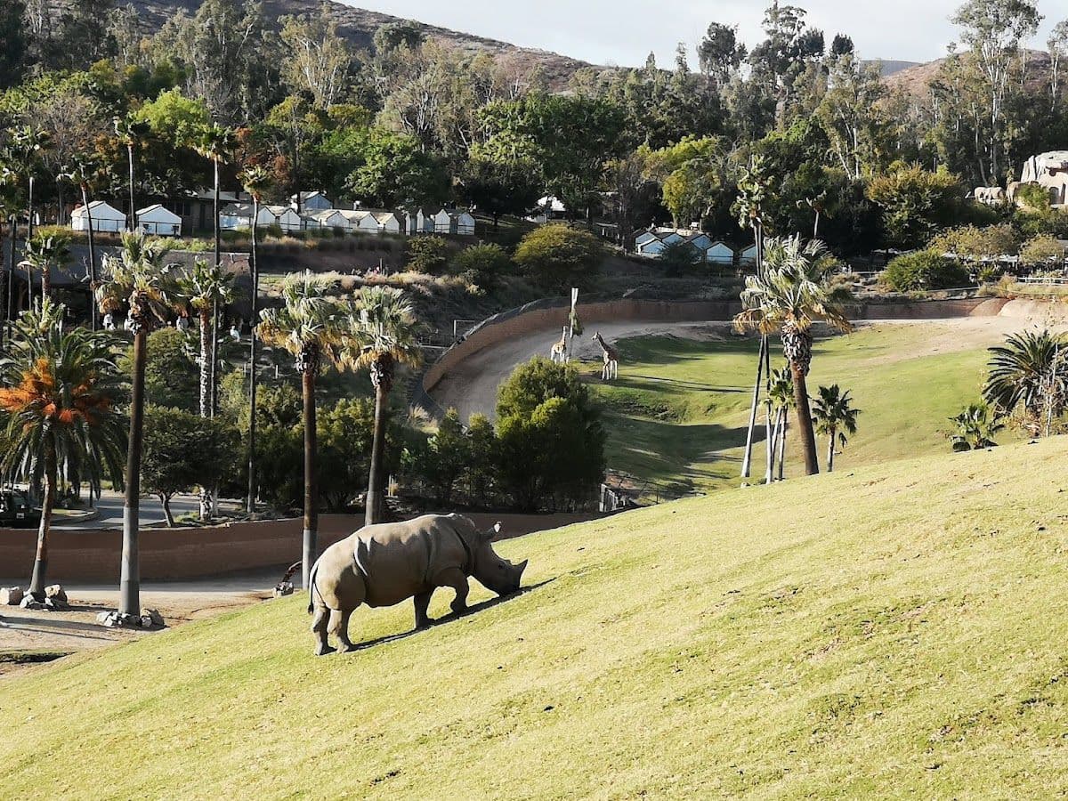 San Diego Zoo Safari Park 1-Day Pass