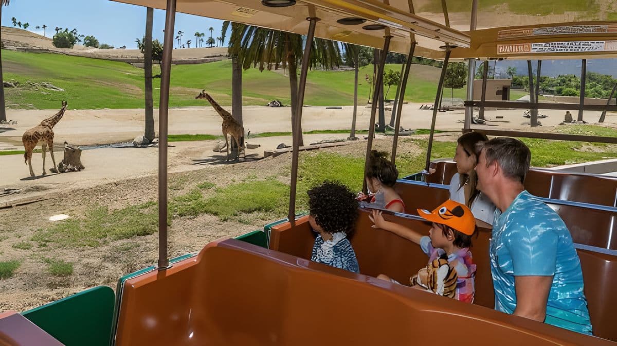 San Diego Zoo Safari Park 1-Day Pass: Any Day Ticket Day Tours