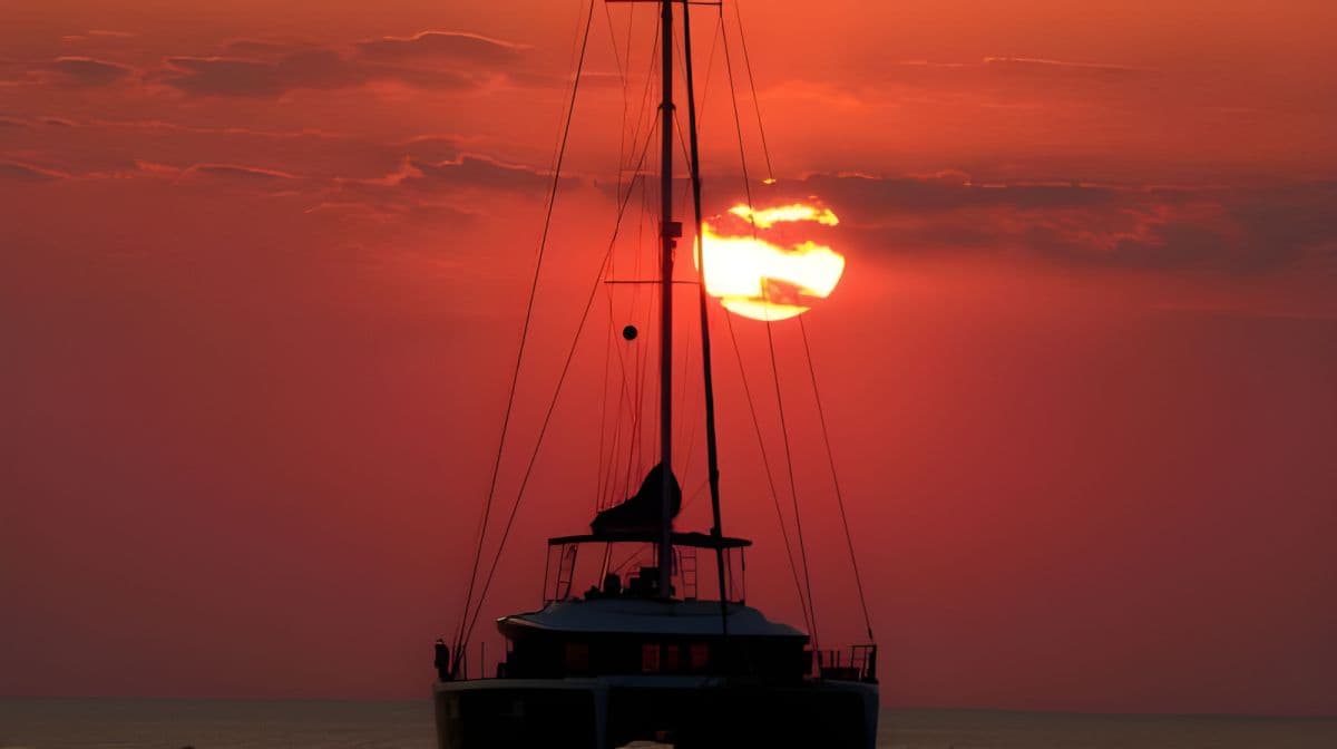 Key West Dolphin Watching + Snorkeling + Sunset Cruise Transport Passes