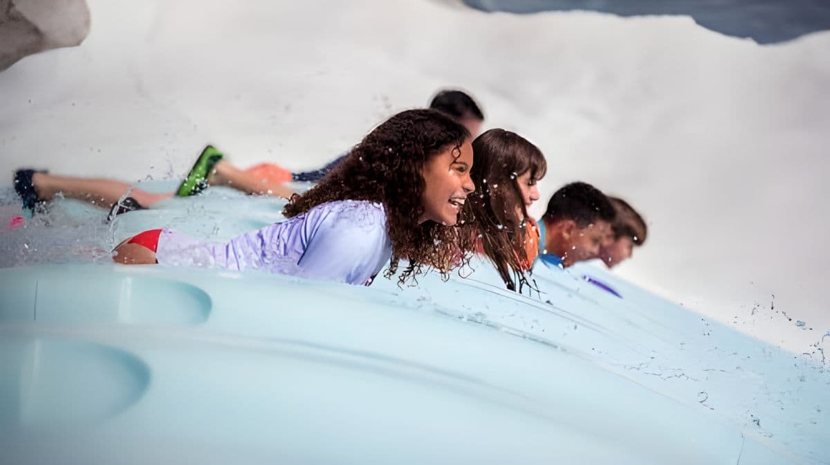 Walt Disney World Resort 1-Day Water Park Ticket Adult
