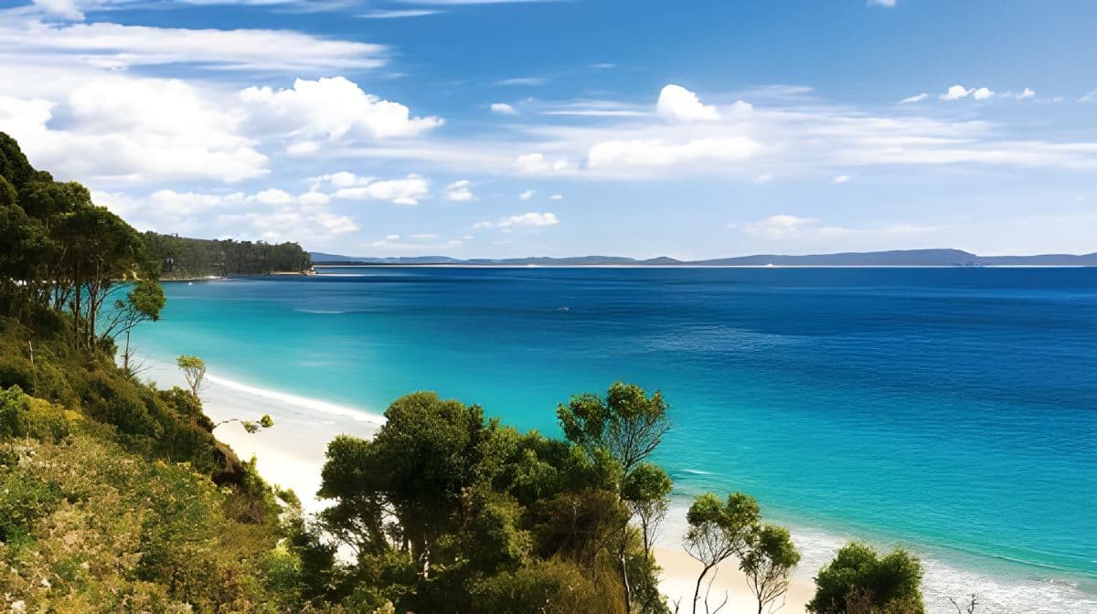 Hobart Bruny Island 1-day tour [3-hour speedboating | Optional meal included | English] Day Tours