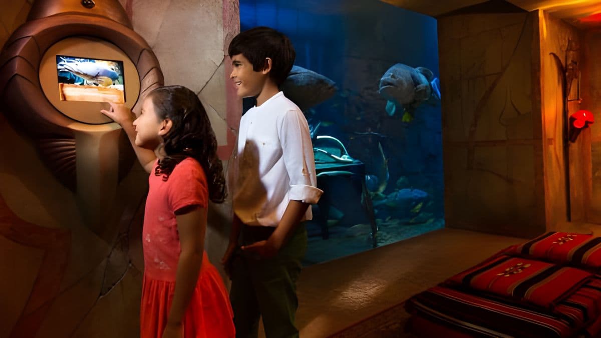 Atlantis The Lost Chambers Aquarium