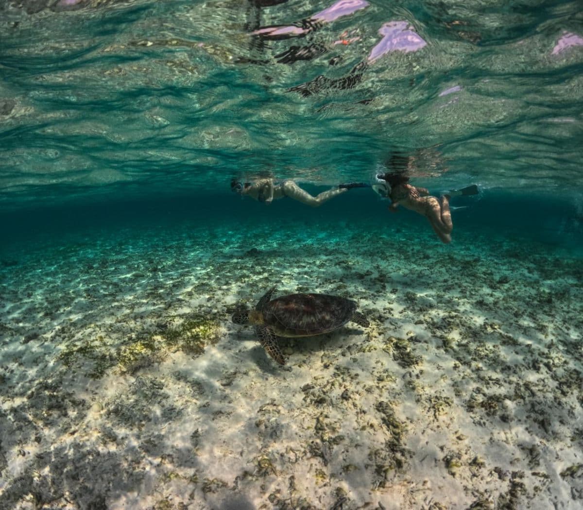 Private Gili Trawangan, Meno & Air Snorkeling Tour from Lombok
