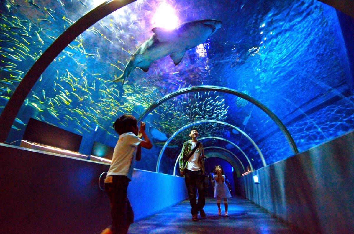 [Hokkaido] Noboribetsu Marine Park Nixe