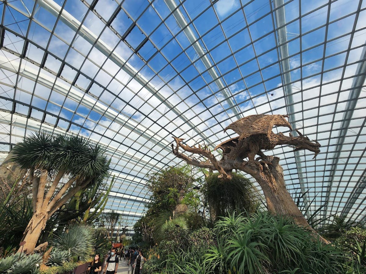 Gardens by the Bay