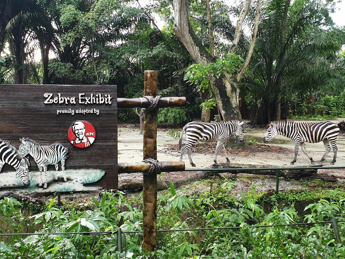 Singapore Zoo