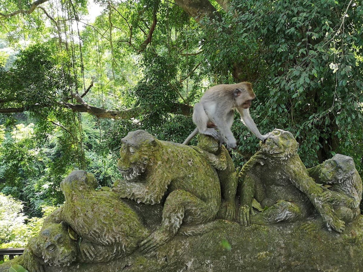 Sacred Monkey Forest Ubud