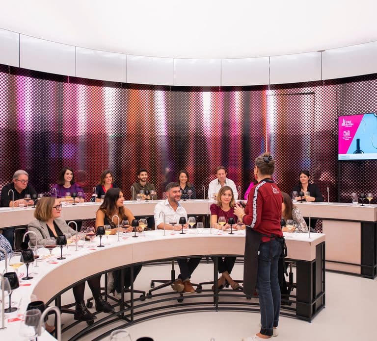 Bordeaux: Cité du Vin Entry Ticket and Wine Tasting