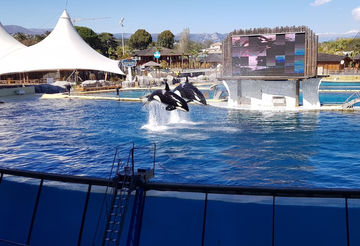 Marineland Côte d'Azur