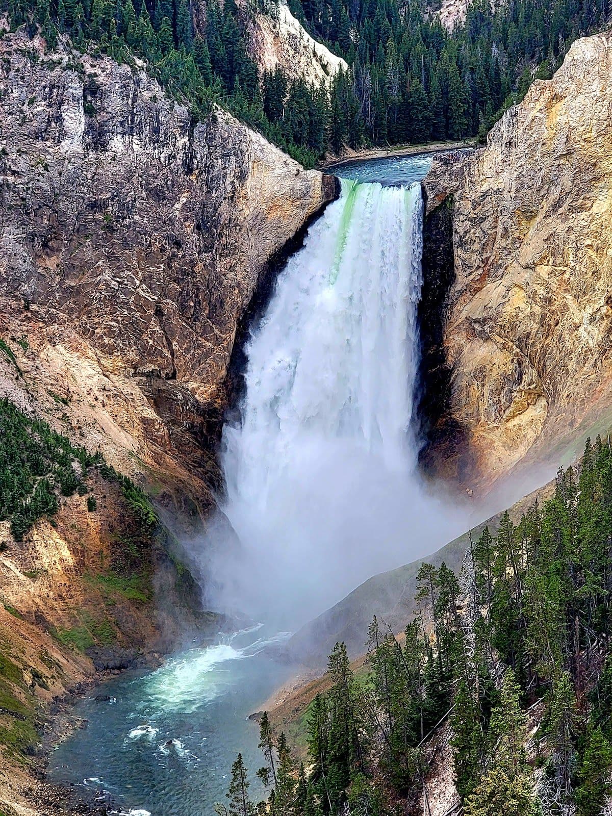 Yellowstone
