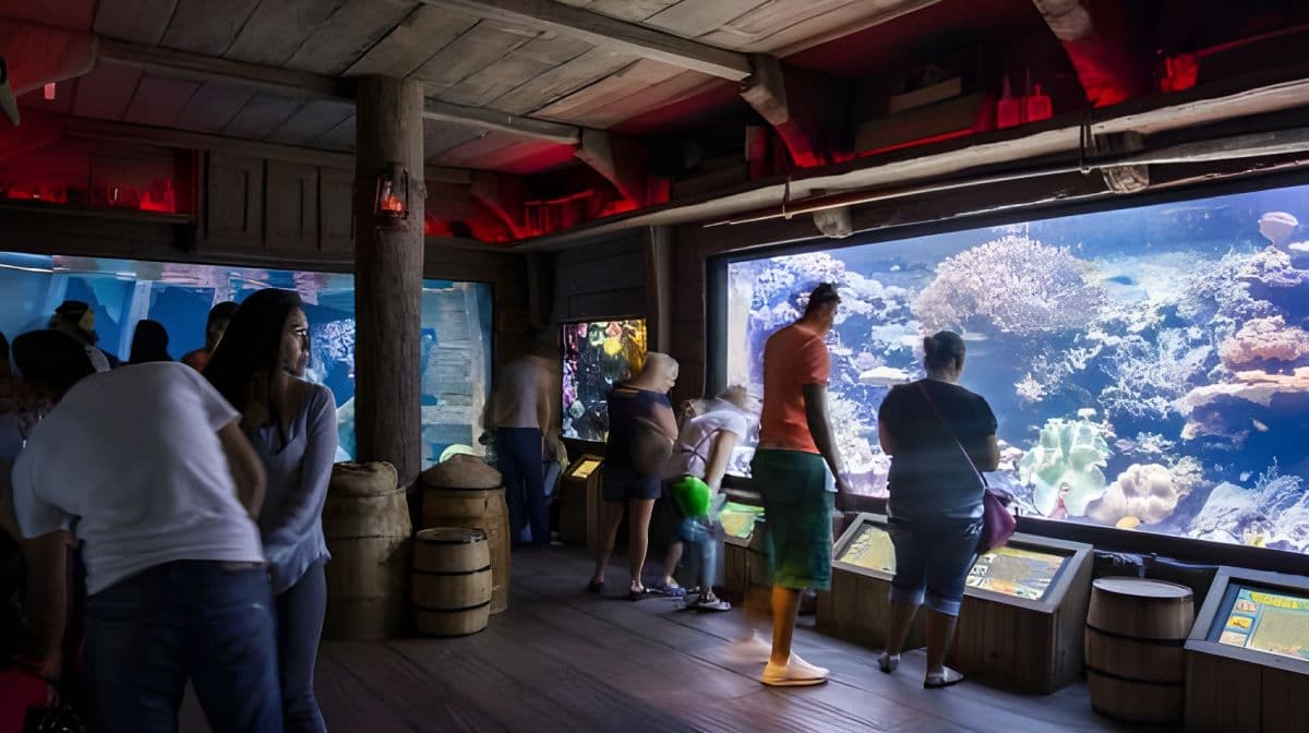 Houston: Downtown Aquarium All Day Pass Day Tours