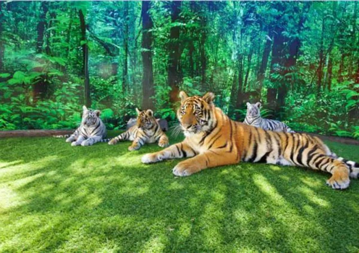 Dreamworld Gold Coast