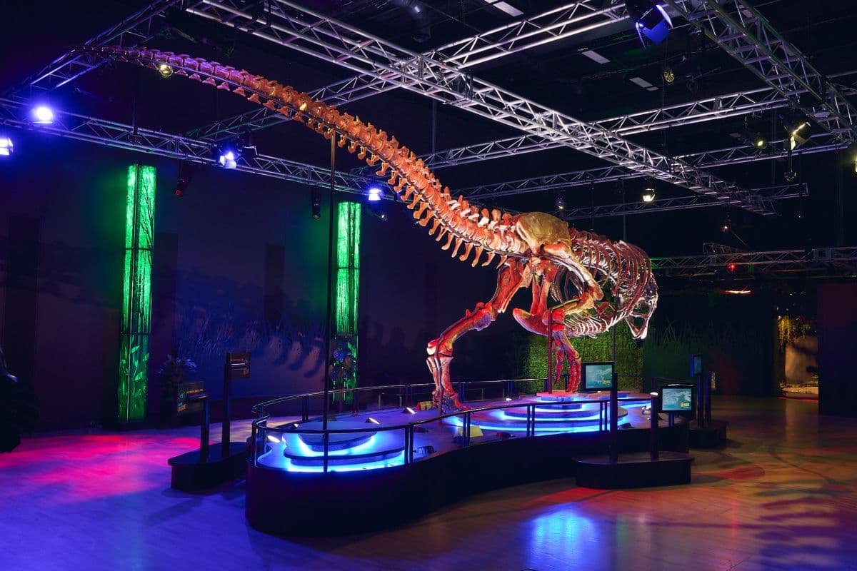 Melbourne Museum