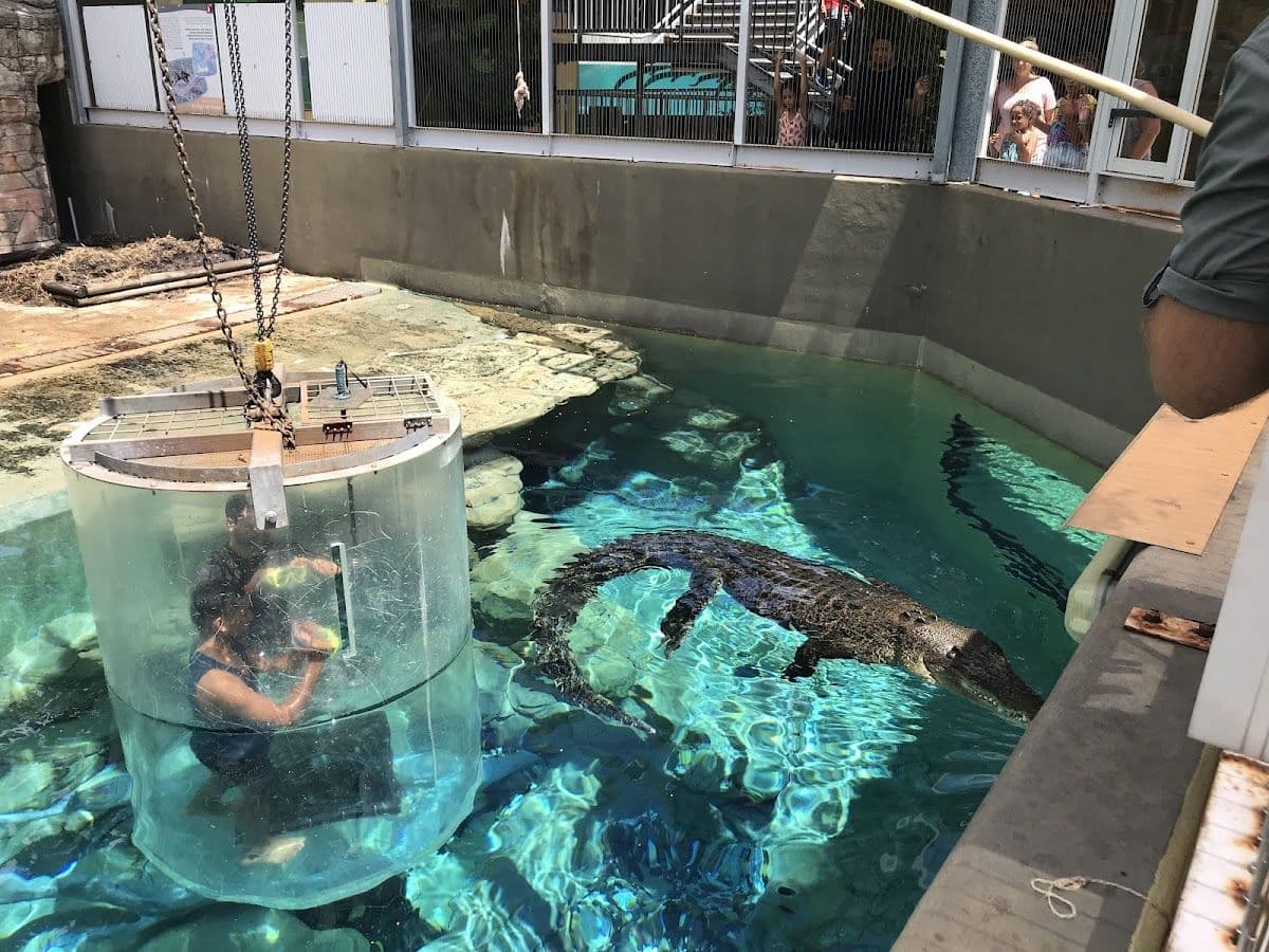 Crocosaurus Cove General Admission Tickets
