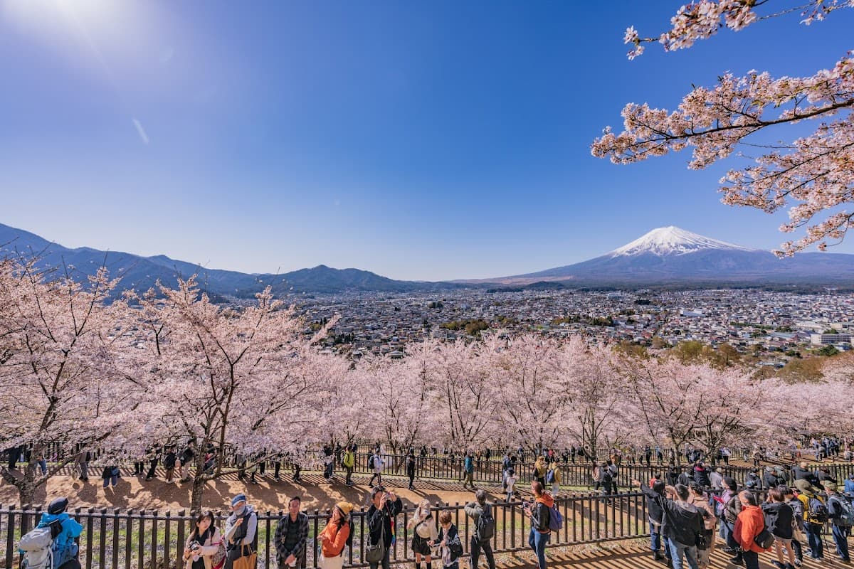 Mt. Fuji 5th Station・Arakurayama Sengen Park
